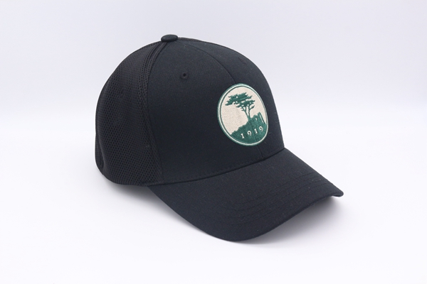 flexfit cap